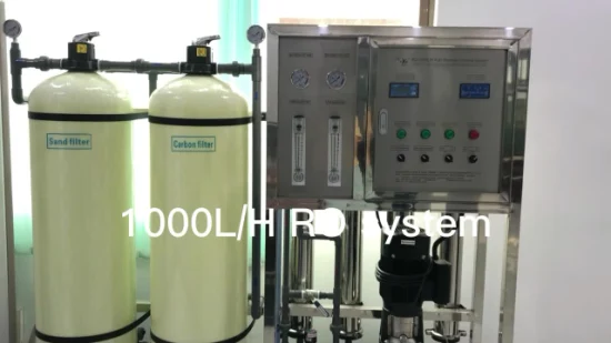 1000L/H Mineral Water Filtration Treatment Machine Reverse Osmosis System Drinking Plant